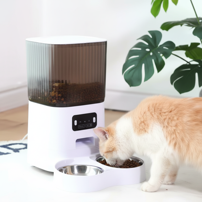 Comedero automático con gato